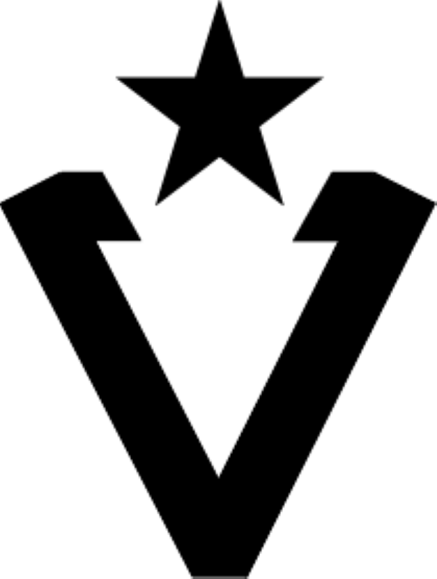 Valint Solutions Logo
